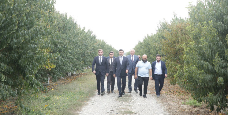 Xaçmaz Rayon İcra Hakimiyyətinin başçısı Elnur Rzayev “Firdevs Agro” MMC-nin meyvə bağlarına baxış keçirib